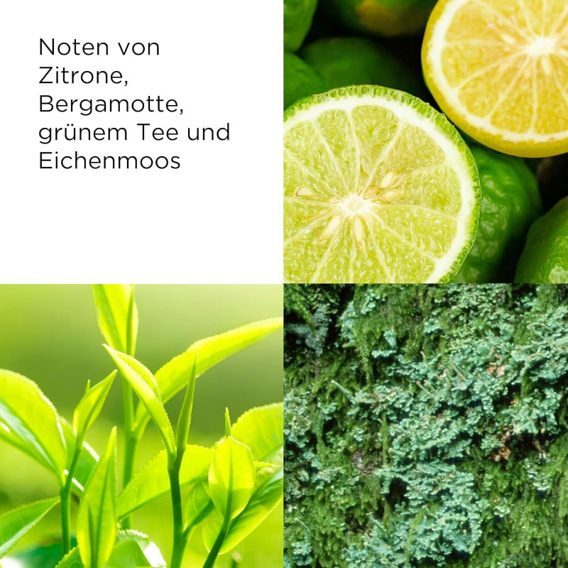 Elizabeth Arden - Green Tea, Erfrischende Körperlotion Mit Grüntee-Extrakt-Duft, Feuchtigkeitsspendend Und Regenerierend, Belebt Die Sinne, Seidig Glatte Haut