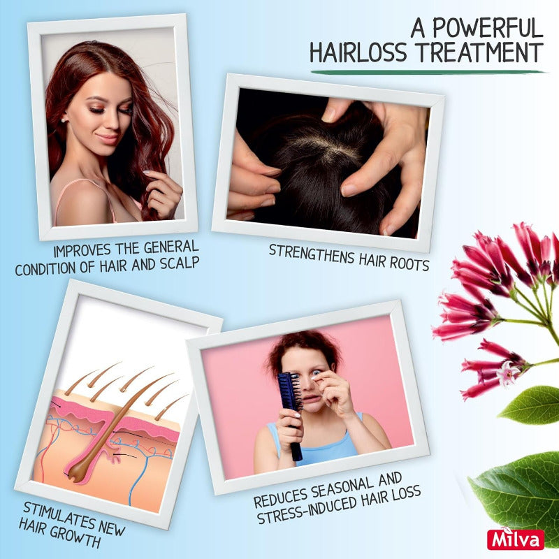 Milva Chinine Shampoo Gegen Haarausfall 500Ml | Für Besseres Haarwachstum, Haarausfall-Shampoo Für Männer Und Frauen, Haarwuchsmittel Haarshampoo Mit Chinin, Haarpflege Für Mehr-Haare Auf Dem Kopf