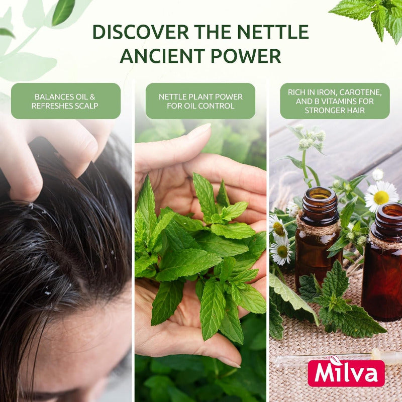 MILVA Nettle Shampoo for Oily Hair – 500ml | Deep Cleansing & Anti-Dandruff Formula