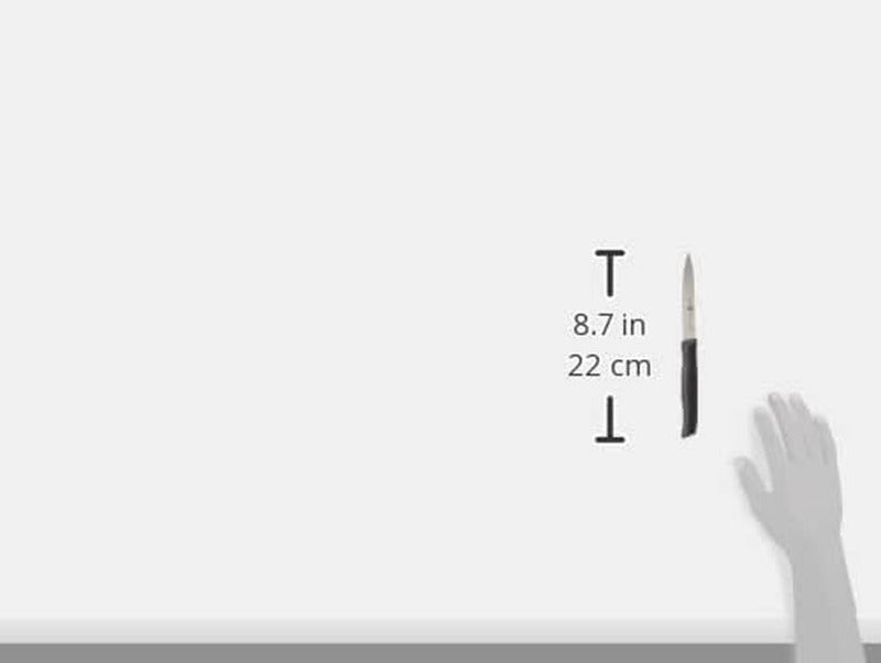 ZWILLING Spick- & Garniermesser – 10 cm | Model 38024-100