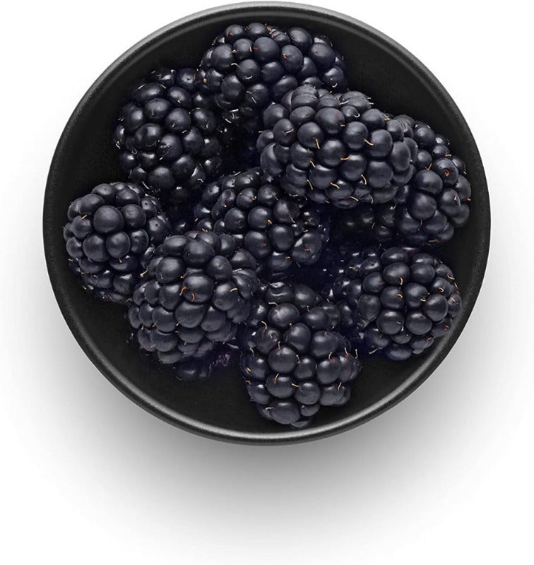 EVA SOLO Nordic Kitchen Salad Bowl | Porcelain | 3.2L | Ø 28 cm | Danish Design