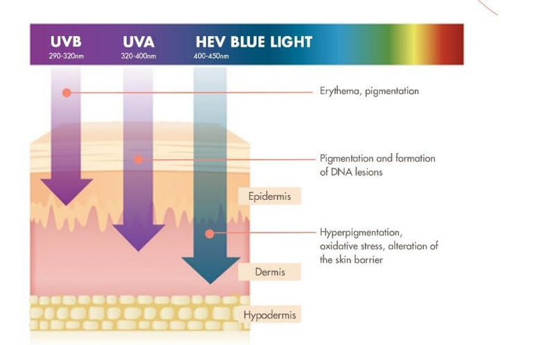 AVÈNE High Protection Sun Cream SPF50 – 50ml
